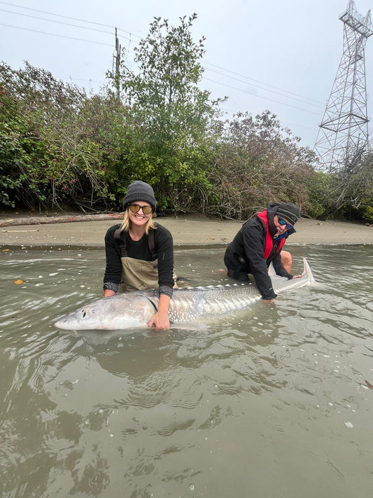 Fraser River Sturgeon Fishing Report - October 4, 2024 | Stellar September Sturgeon Fishing Recap