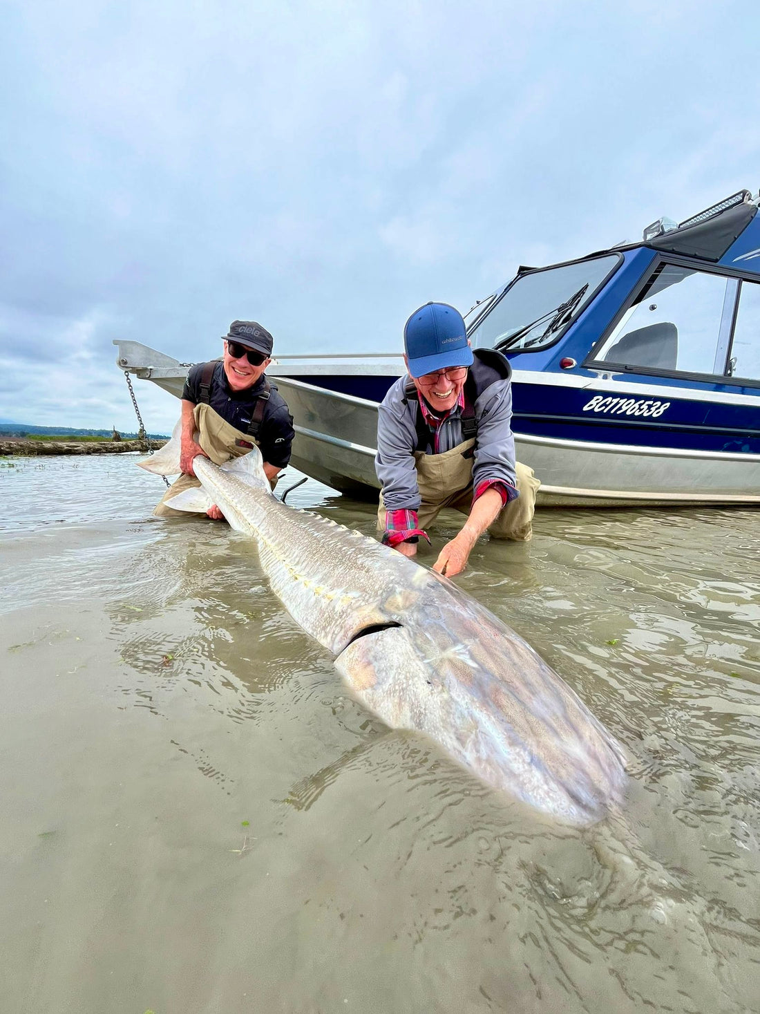 Fraser River Sturgeon Fishing Report – August 2024: Epic Sturgeon Action Near Vancouver, BC