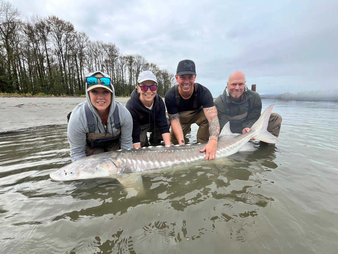 Fraser River Sturgeon Fishing Report - November 8, 2024 | Sturgeon Fishing in November
