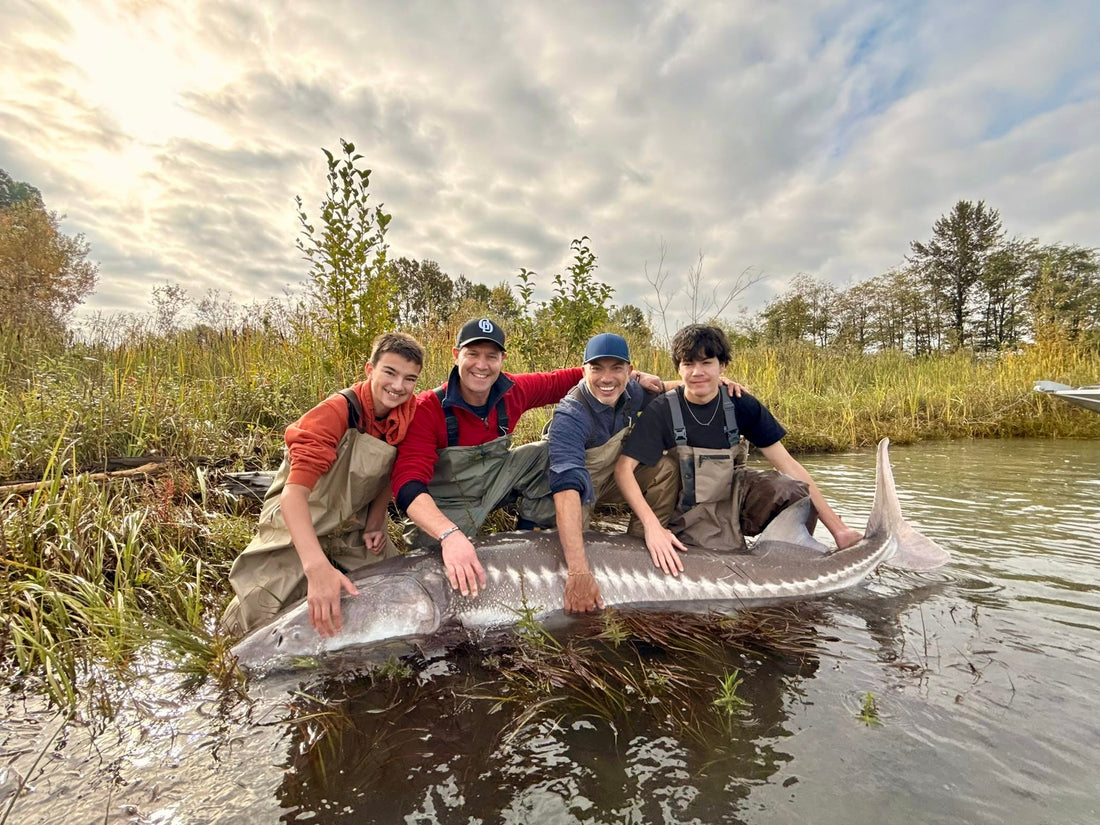 Fraser River Sturgeon Fishing Report: Giant October White Sturgeon Near Vancouver: October 2, 2026