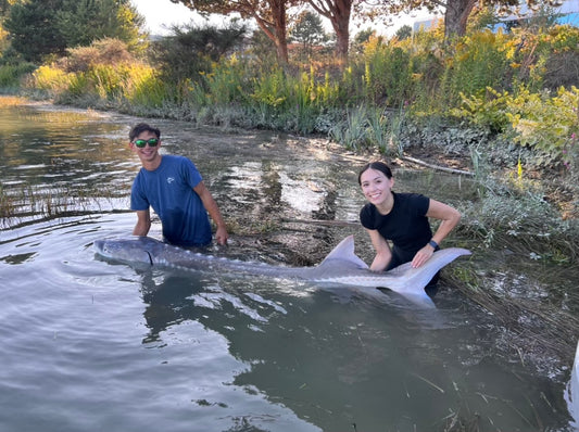 Sturgeon Fishing Update - September 15, 2023