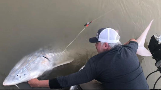 Sturgeon Fishing Update - July 28, 2022