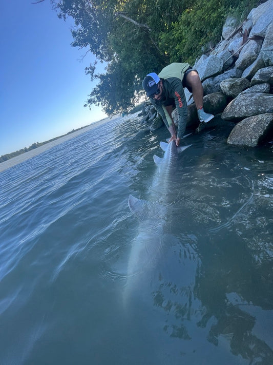 Sturgeon Fishing Update - July 7, 2023