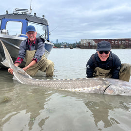Two men proudly holding a large white sturgeon in front of a jet boat with a barge in the background.