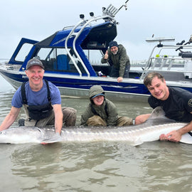 3 people in the water holding a white sturgeon in front of a blue jet boat.