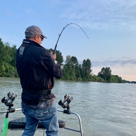 older man Sturegon fishing with pacific angler on the fraser river 