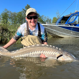 Angler holding a 5-foot sturgeon in the water with a boat in the background during a fishing charter in Vancouver, BC